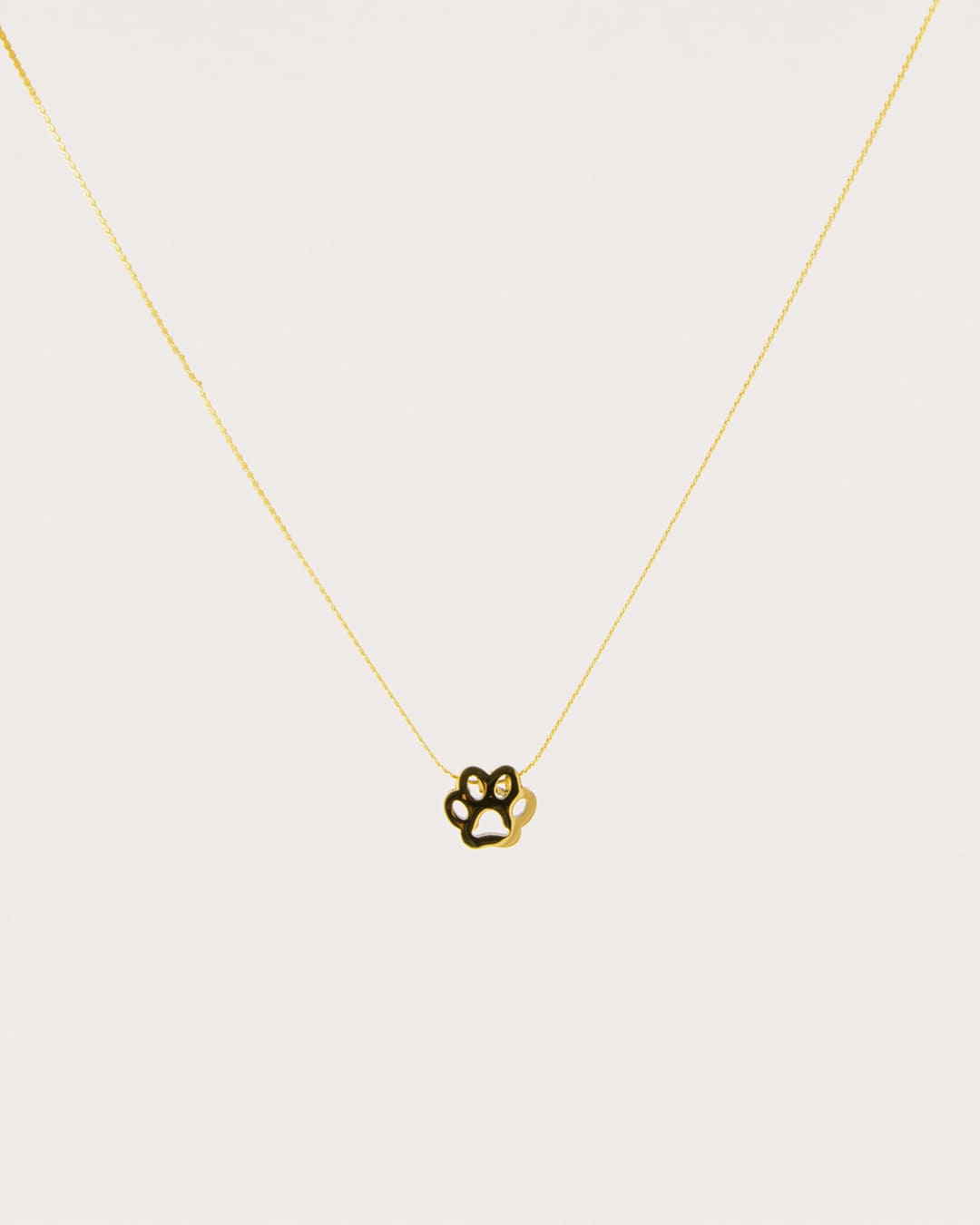 Collar Acero Huella Dorado