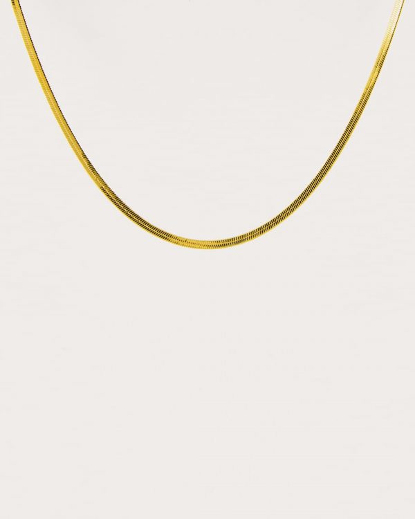 Collar de acero con baño de oro - Joyitas de Acero
