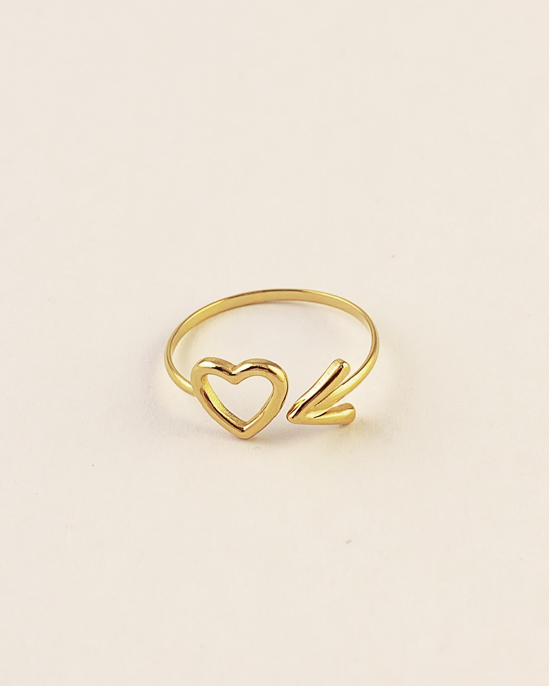 Anillo Acero Nisha