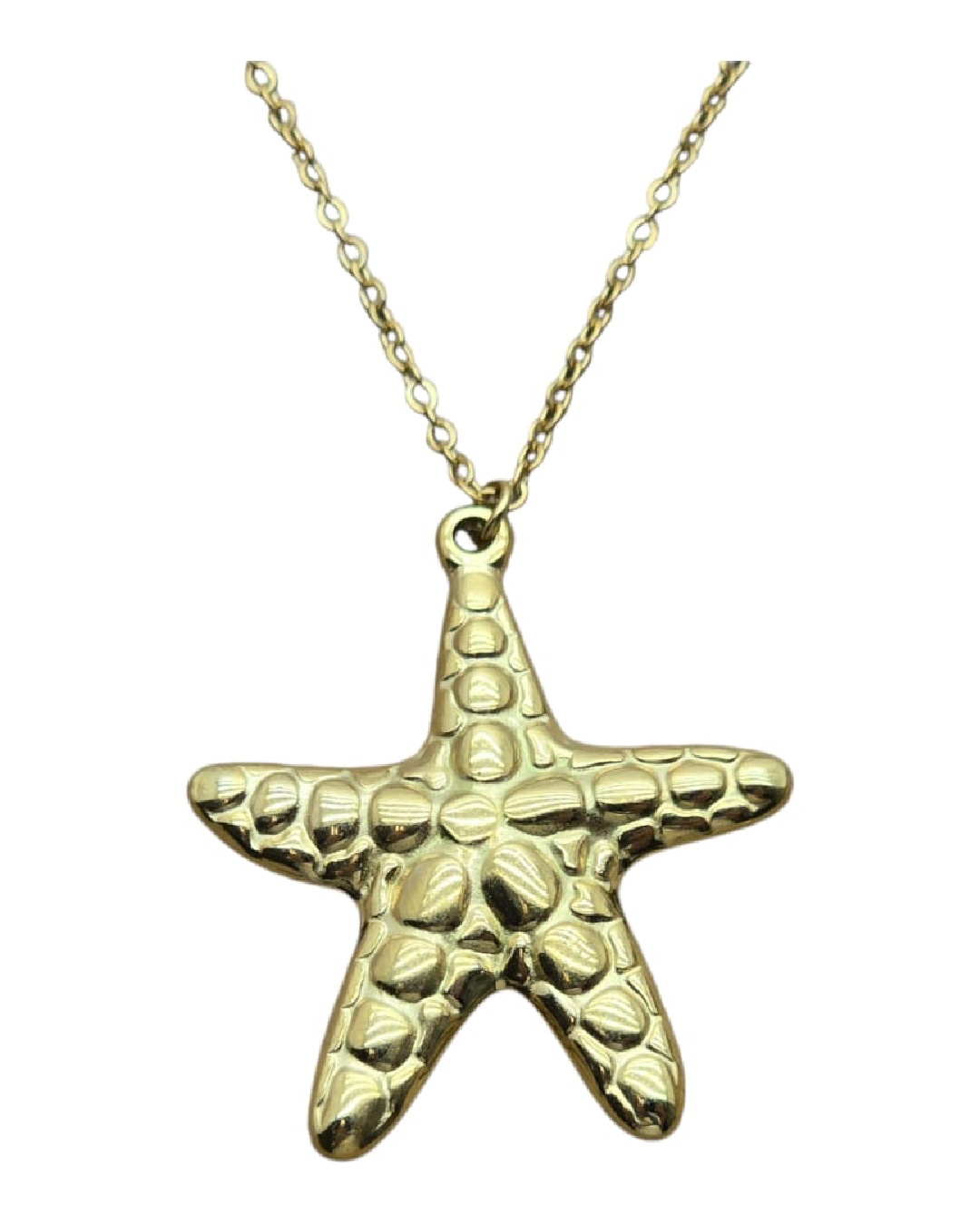 Collar Acero Estrella De Mar