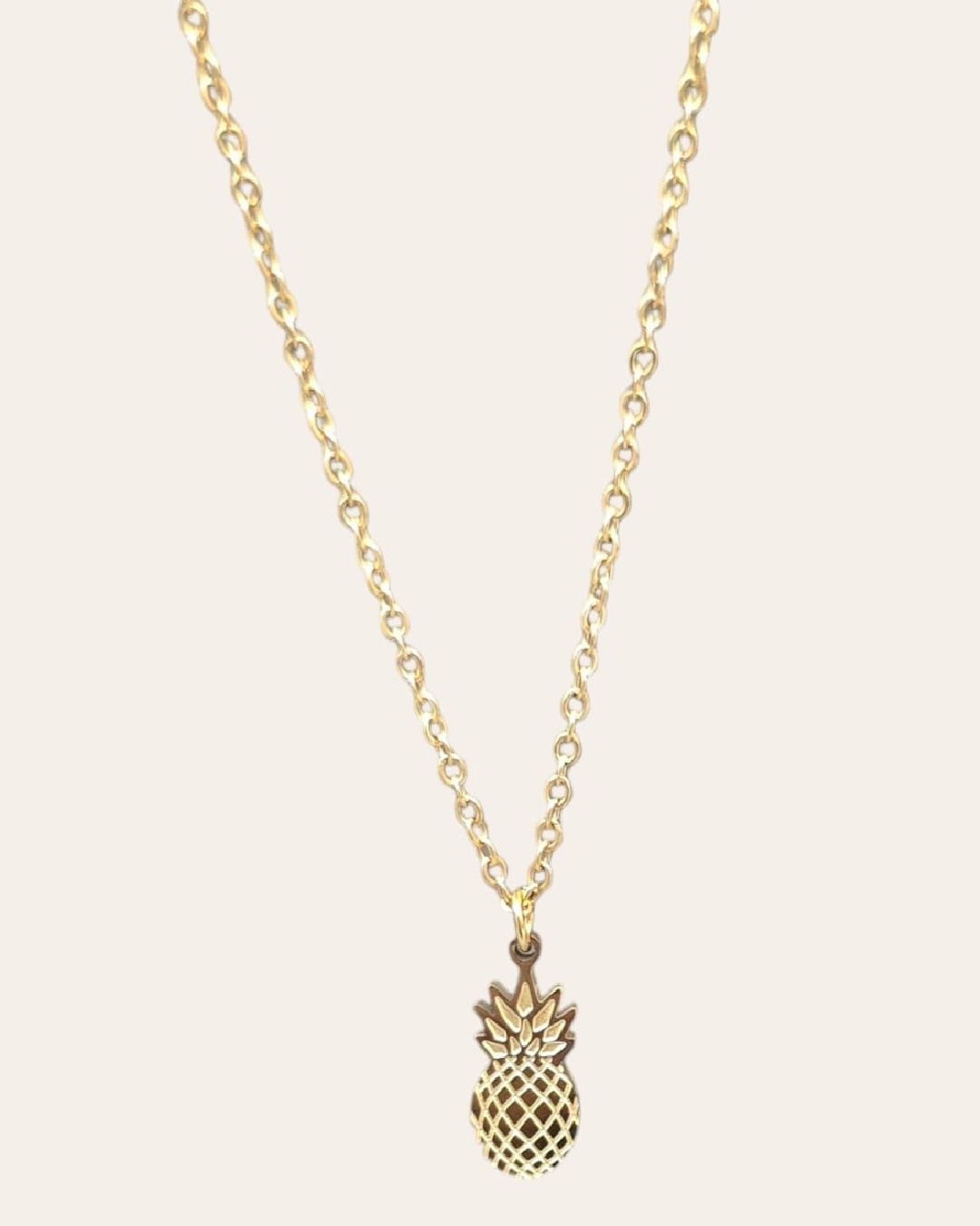 Collar Acero Piña