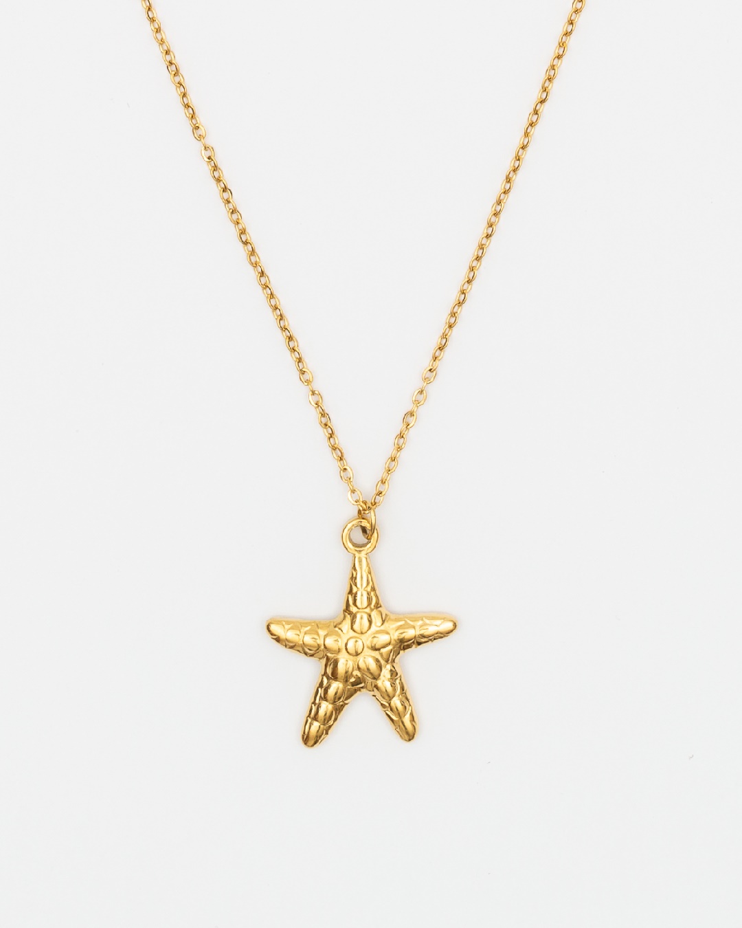 Collar Acero Estrella De Mar