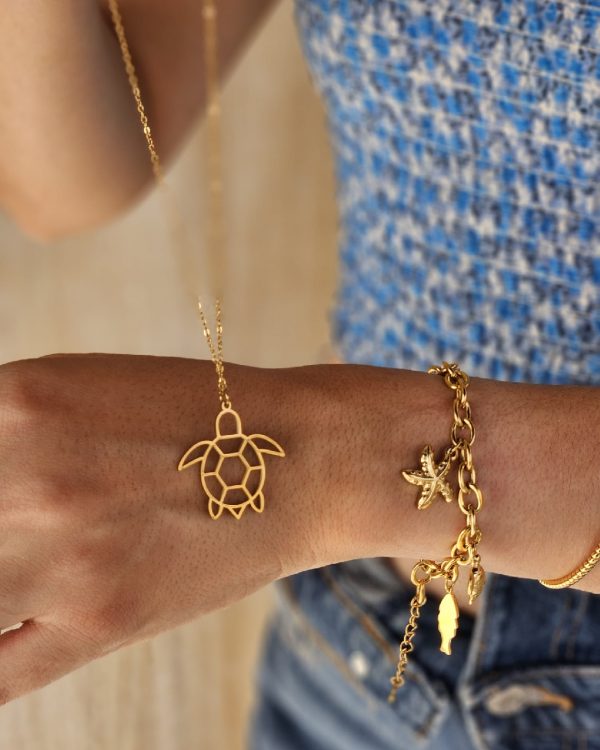 Collare de Acero - Joyitas de Acero