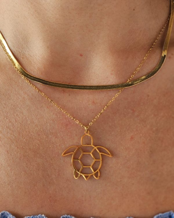 Collare de Acero - Joyitas de Acero