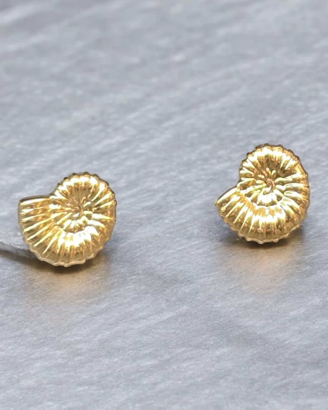 Pendientes Acero Caracola