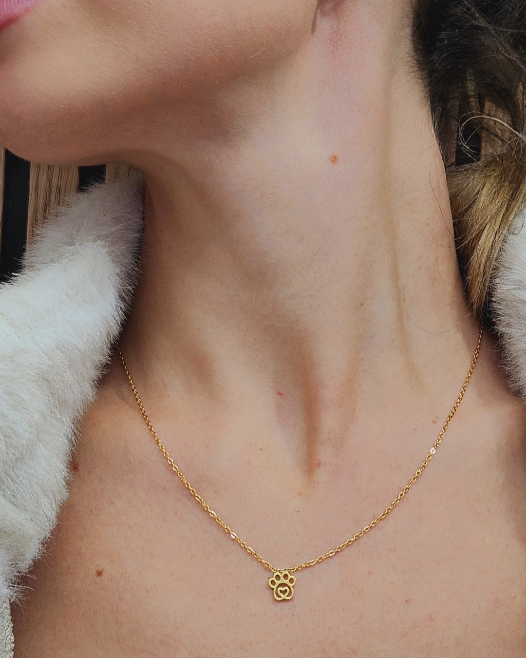 Collar Acero Lassie