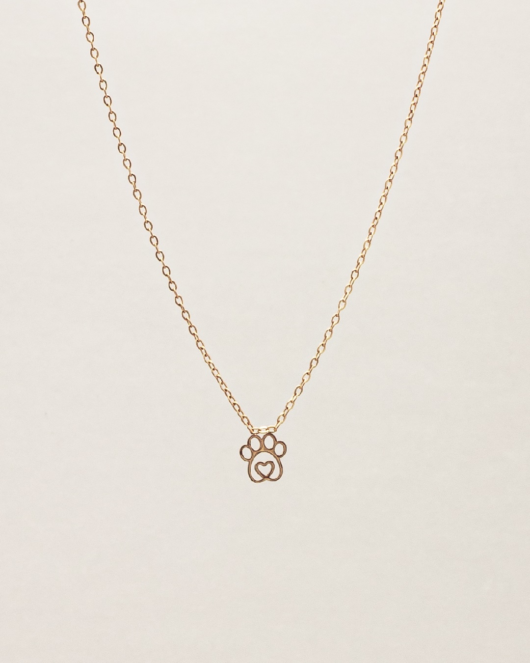 Collar Acero Lassie