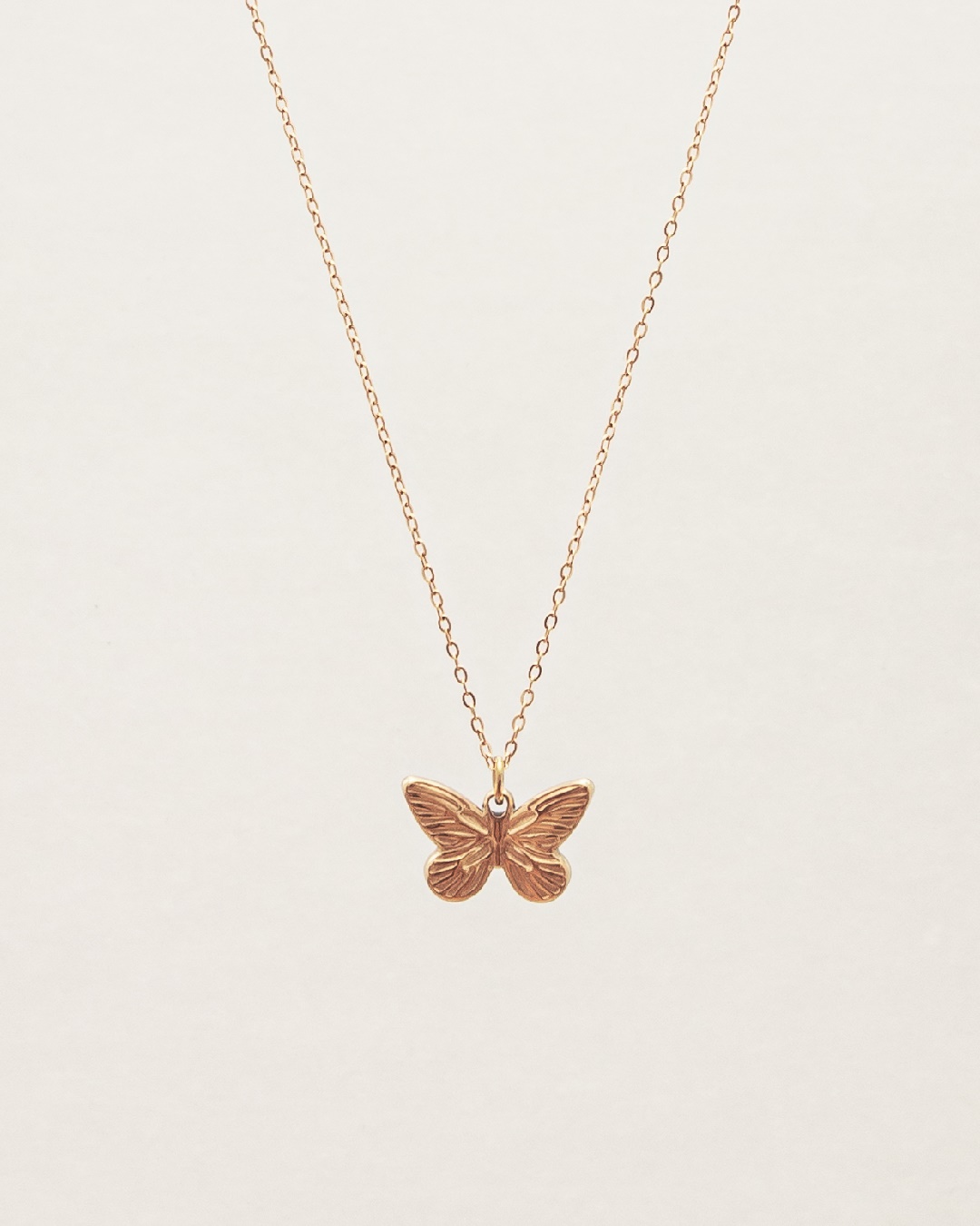 Collar Acero Amathea