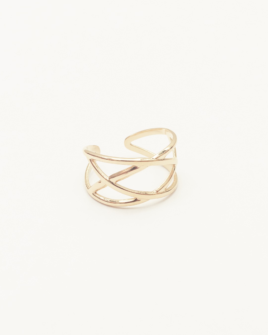 Anillo Acero Intertwined