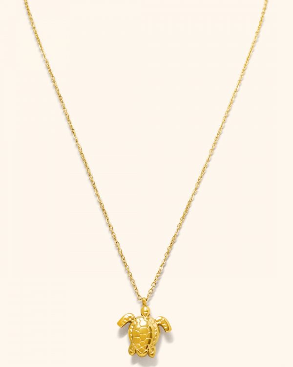 Collares de Acero - Joyitas de Acero