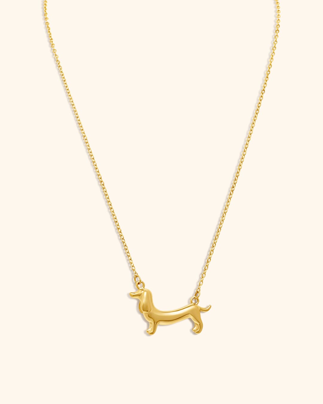 Collar Acero Teckel