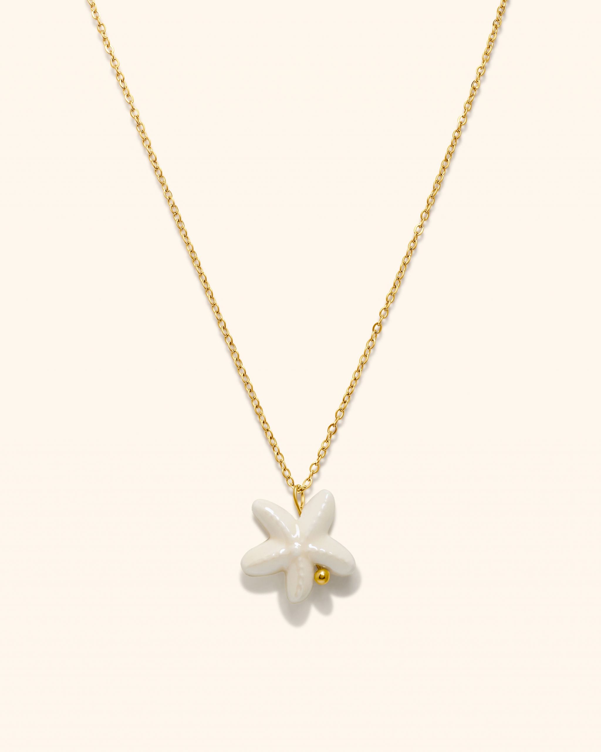 Collar Acero Starfish White