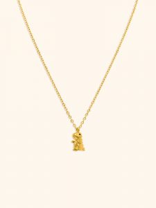 Collar Acero Dinosaurio