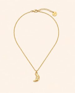 Collar Acero Luna Brillante