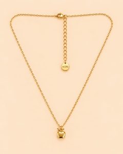 Collar Acero Manzanita